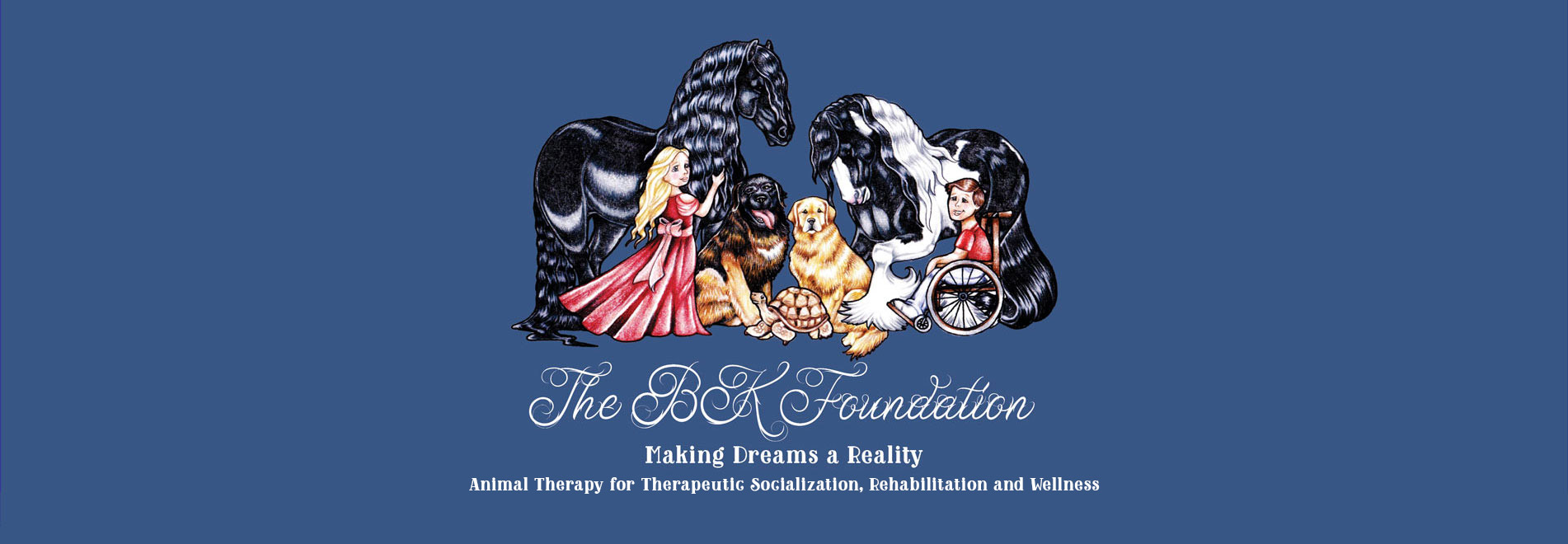 BK Foundation Banner