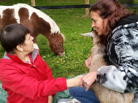 Magic is happening!!!   We are seeing miracles daily with the amazing therapy of the animals 4962 magic is happening   we are seeing miracles daily with 1