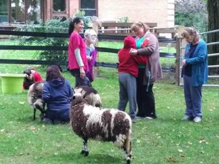 Magic is happening!!!   We are seeing miracles daily with the amazing therapy of the animals 4962 magic is happening   we are seeing miracles daily with 11