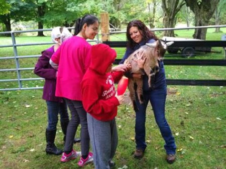 Magic is happening!!!   We are seeing miracles daily with the amazing therapy of the animals 4962 magic is happening   we are seeing miracles daily with 12