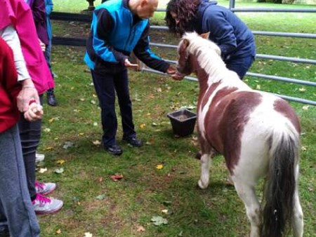Magic is happening!!!   We are seeing miracles daily with the amazing therapy of the animals 4962 magic is happening   we are seeing miracles daily with 2