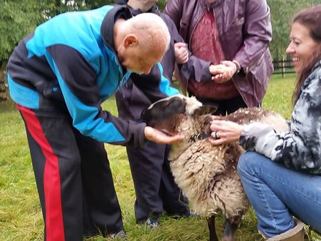 Magic is happening!!!   We are seeing miracles daily with the amazing therapy of the animals 4962 magic is happening   we are seeing miracles daily with 20