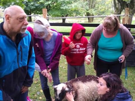 Magic is happening!!!   We are seeing miracles daily with the amazing therapy of the animals 4962 magic is happening   we are seeing miracles daily with 22