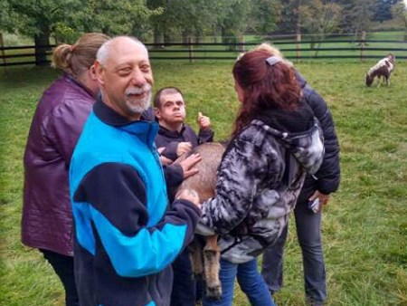 Magic is happening!!!   We are seeing miracles daily with the amazing therapy of the animals 4962 magic is happening   we are seeing miracles daily with 23