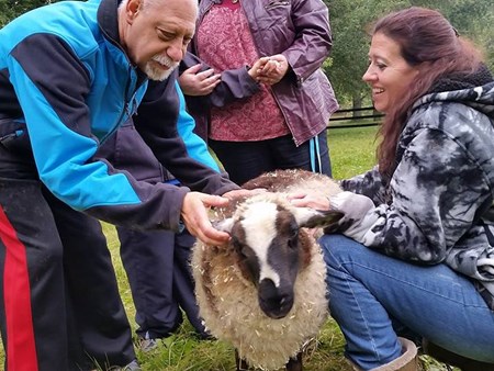 Magic is happening!!!   We are seeing miracles daily with the amazing therapy of the animals 4962 magic is happening   we are seeing miracles daily with 27