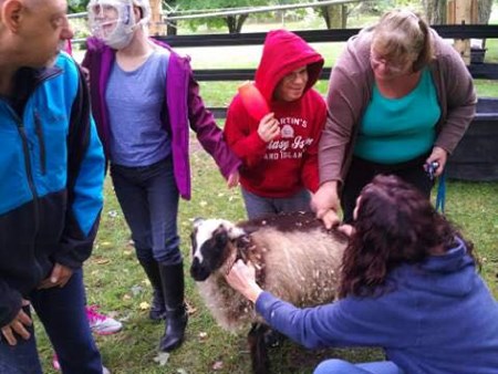 Magic is happening!!!   We are seeing miracles daily with the amazing therapy of the animals 4962 magic is happening   we are seeing miracles daily with 3