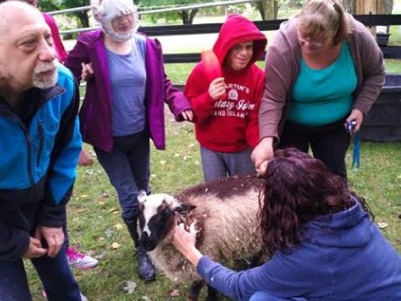 Magic is happening!!!   We are seeing miracles daily with the amazing therapy of the animals 4962 magic is happening   we are seeing miracles daily with 6